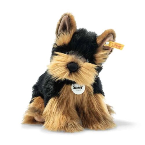 herkules yorkshire terrier 076923