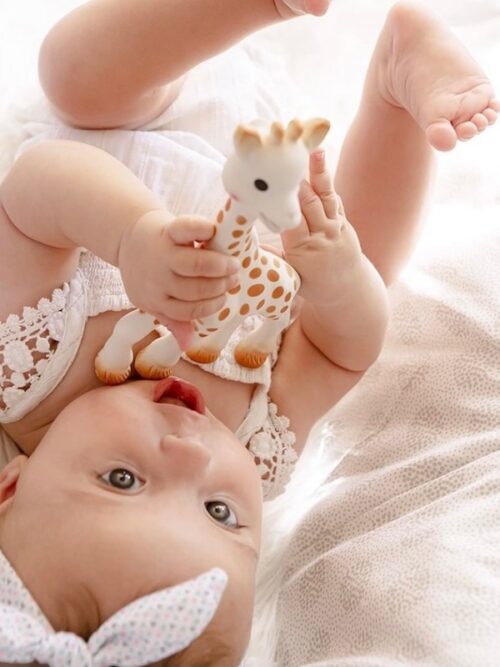 Sophie la girafe little things