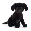 PIP3BL pippa black labrador