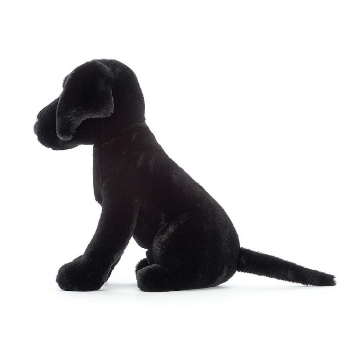 PIP3BL pippa black labrador