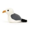 BIR6SG birdling seagull