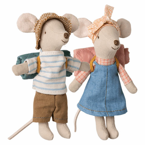 big brother & big sister