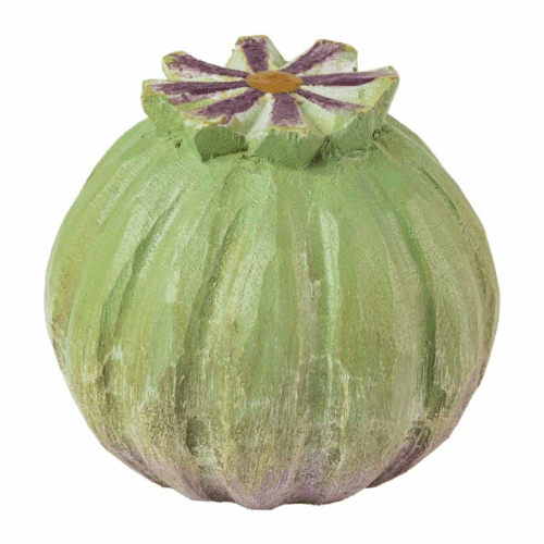 Cabinet Knob – Poppy Pod