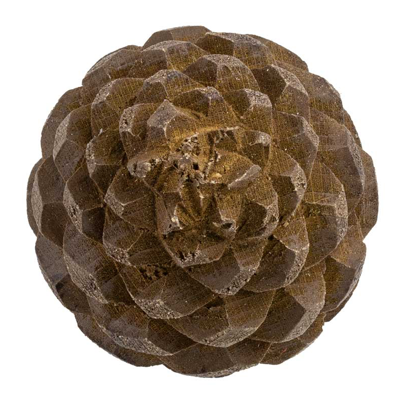 Cabinet Knob – Pine Cone - Image 4