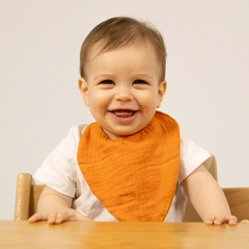 Cathy the Carrot Bib - Image 2