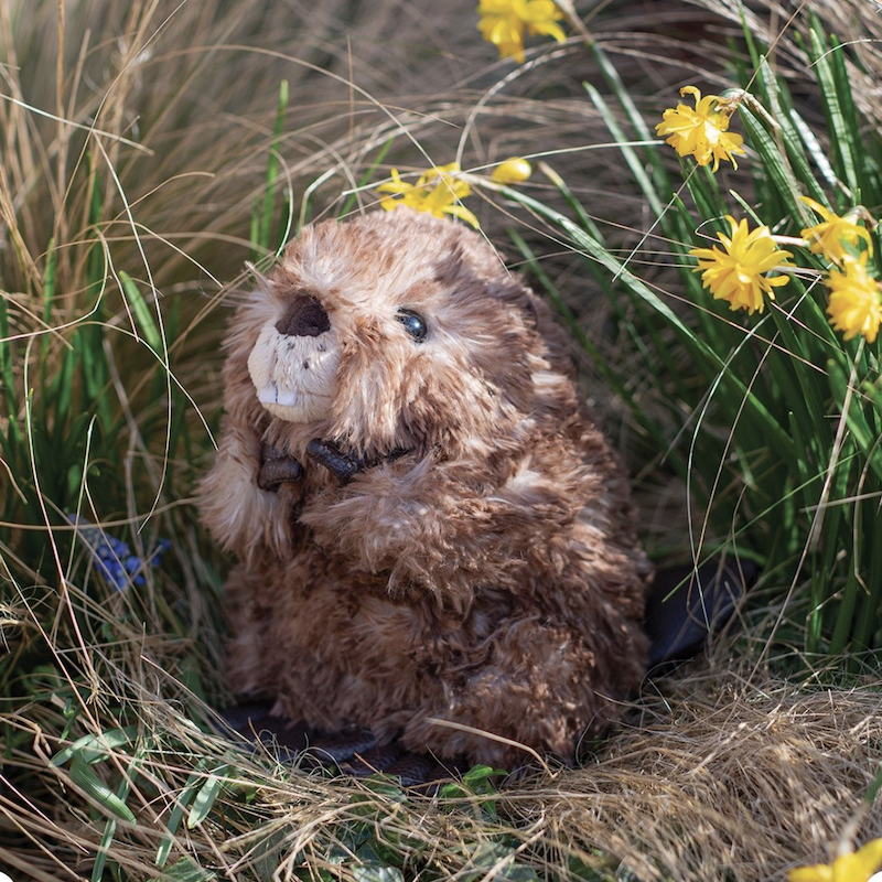 Chester Beaver Medium - Image 2