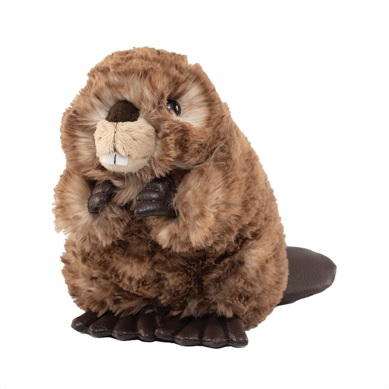 Chester Beaver Medium