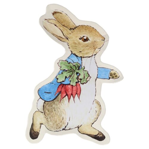 Peter Rabbit™ reusable plate