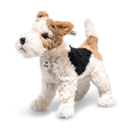 Foxy Fox Terrier - Multicolored